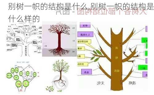 别树一帜的结构是什么,别树一帜的结构是什么样的