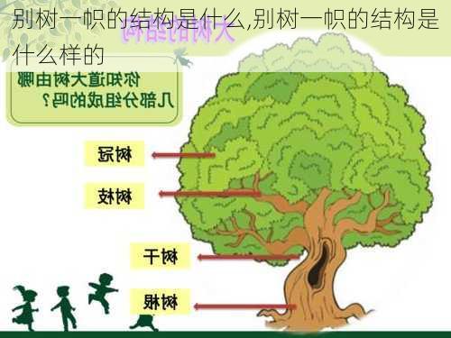 别树一帜的结构是什么,别树一帜的结构是什么样的