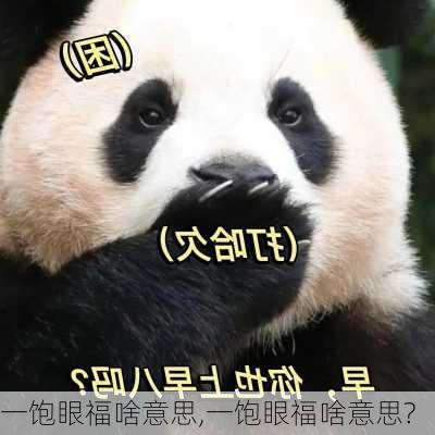 一饱眼福啥意思,一饱眼福啥意思?