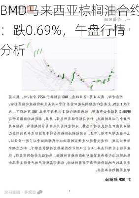 BMD马来西亚棕榈油合约：跌0.69%，午盘行情分析