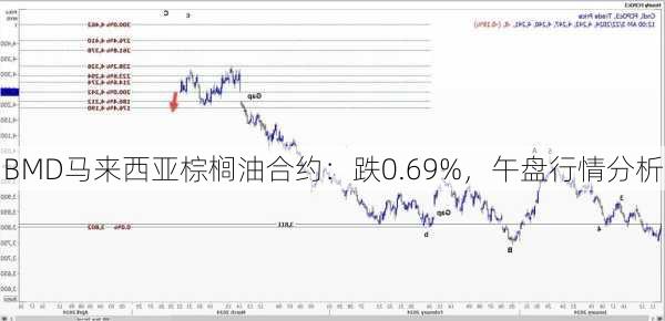 BMD马来西亚棕榈油合约：跌0.69%，午盘行情分析