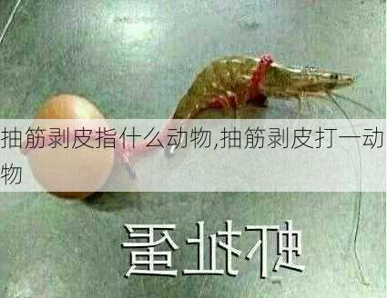 抽筋剥皮指什么动物,抽筋剥皮打一动物