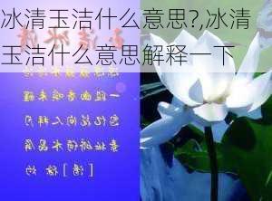 冰清玉洁什么意思?,冰清玉洁什么意思解释一下