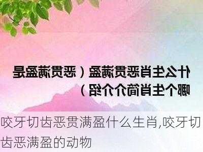 咬牙切齿恶贯满盈什么生肖,咬牙切齿恶满盈的动物