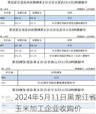 2024年5月11日黑龙江省玉米加工企业收购价