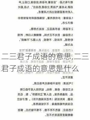 二三君子成语的意思,二三君子成语的意思是什么