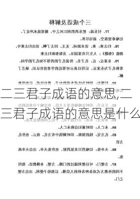 二三君子成语的意思,二三君子成语的意思是什么