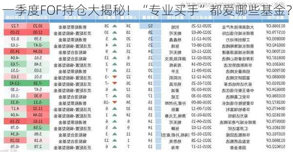 一季度FOF持仓大揭秘！“专业买手”都爱哪些基金？