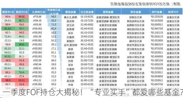 一季度FOF持仓大揭秘！“专业买手”都爱哪些基金？