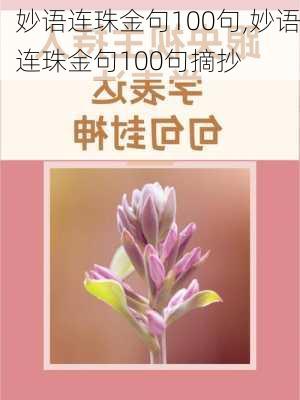 妙语连珠金句100句,妙语连珠金句100句摘抄