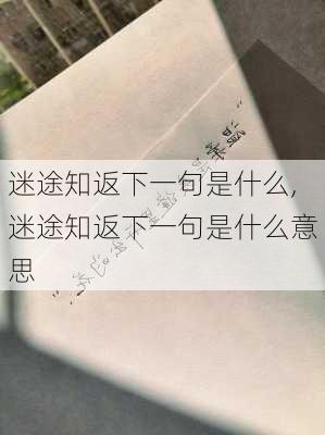 迷途知返下一句是什么,迷途知返下一句是什么意思