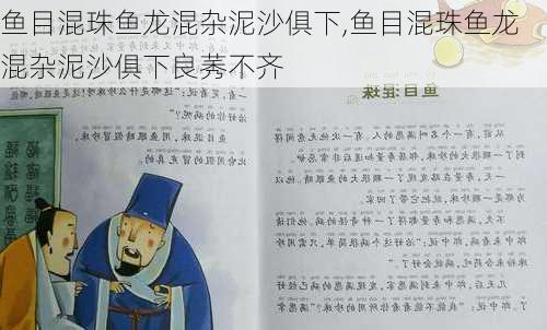 鱼目混珠鱼龙混杂泥沙俱下,鱼目混珠鱼龙混杂泥沙俱下良莠不齐