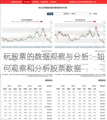 玩股票的数据观察与分析：如何观察和分析股票数据