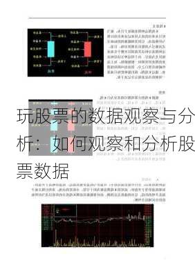 玩股票的数据观察与分析：如何观察和分析股票数据