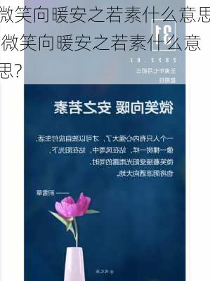 微笑向暖安之若素什么意思,微笑向暖安之若素什么意思?