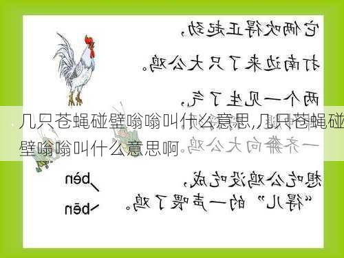 几只苍蝇碰壁嗡嗡叫什么意思,几只苍蝇碰壁嗡嗡叫什么意思啊