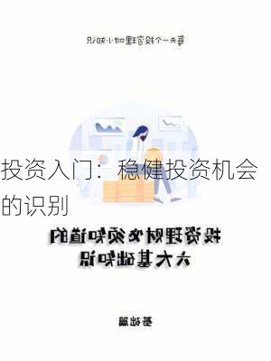 投资入门：稳健投资机会的识别