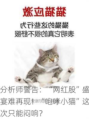 分析师警告：“网红股”盛宴难再现！“咆哮小猫”这次只能闷响？