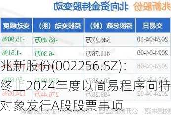 兆新股份(002256.SZ)：终止2024年度以简易程序向特定对象发行A股股票事项