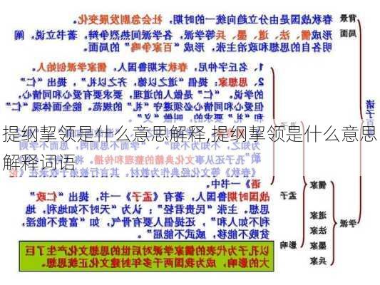 提纲挈领是什么意思解释,提纲挈领是什么意思解释词语