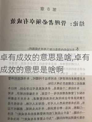 卓有成效的意思是啥,卓有成效的意思是啥啊