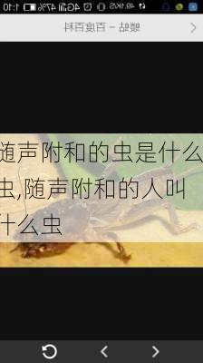 随声附和的虫是什么虫,随声附和的人叫什么虫