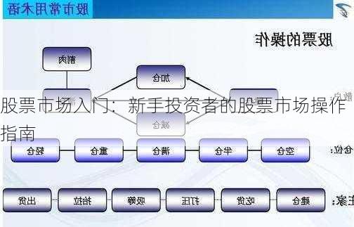 股票市场入门：新手投资者的股票市场操作指南