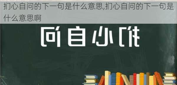 扪心自问的下一句是什么意思,扪心自问的下一句是什么意思啊