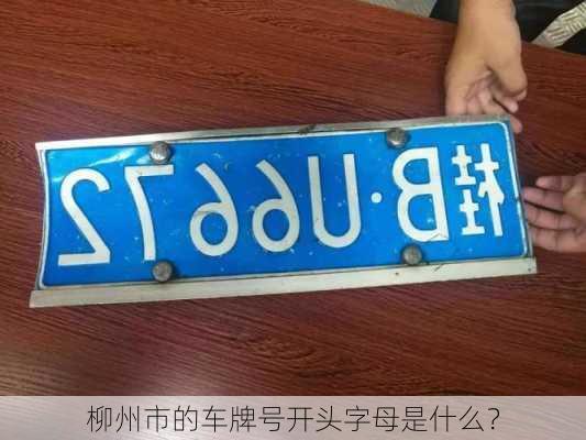 柳州市的车牌号开头字母是什么？