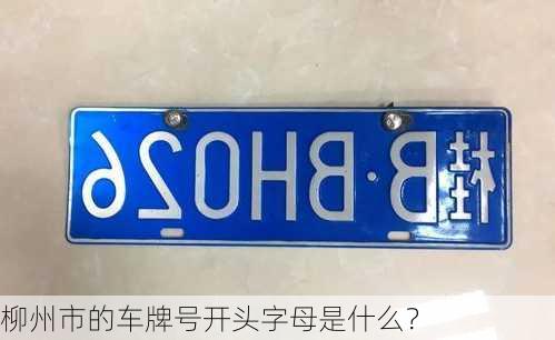 柳州市的车牌号开头字母是什么？