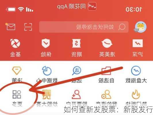 如何查新发股票：新股发行