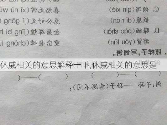 休戚相关的意思解释一下,休戚相关的意思是