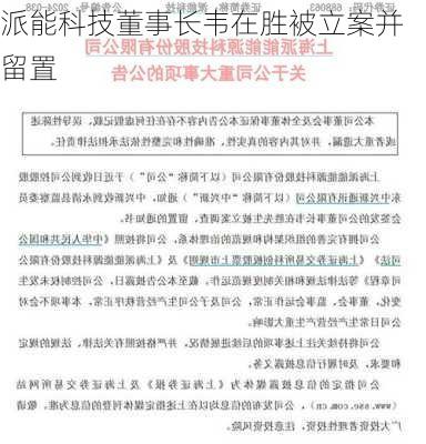 派能科技董事长韦在胜被立案并留置