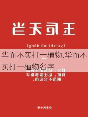 华而不实打一植物,华而不实打一植物名字