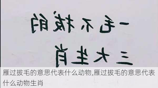 雁过拔毛的意思代表什么动物,雁过拔毛的意思代表什么动物生肖