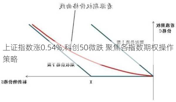 上证指数涨0.54%,科创50微跌 聚焦各指数期权操作策略