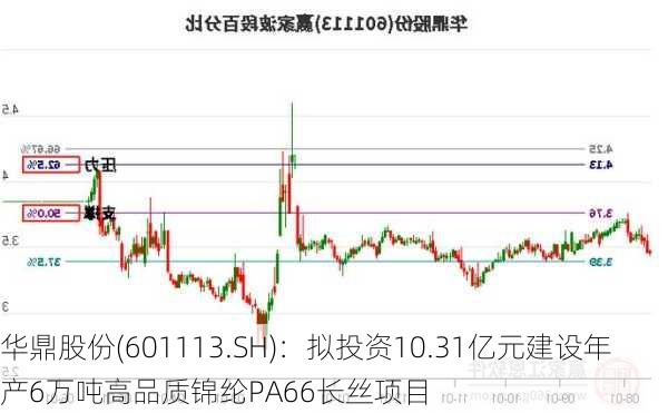 华鼎股份(601113.SH)：拟投资10.31亿元建设年产6万吨高品质锦纶PA66长丝项目