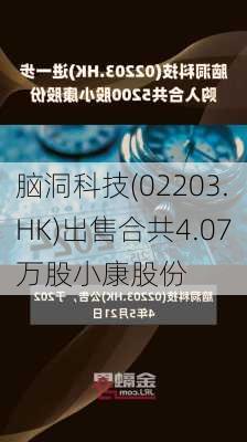 脑洞科技(02203.HK)出售合共4.07万股小康股份