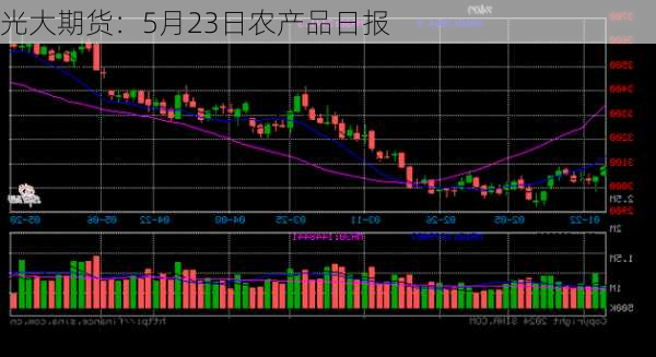 光大期货：5月23日农产品日报