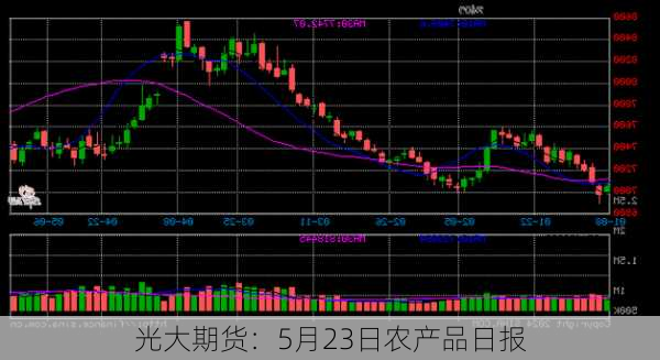 光大期货：5月23日农产品日报