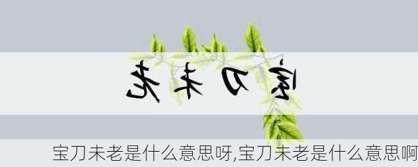 宝刀未老是什么意思呀,宝刀未老是什么意思啊