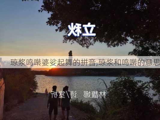 琼浆鸣啭婆娑起舞的拼音,琼浆和鸣啭的意思