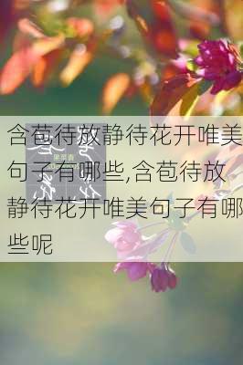 含苞待放静待花开唯美句子有哪些,含苞待放静待花开唯美句子有哪些呢