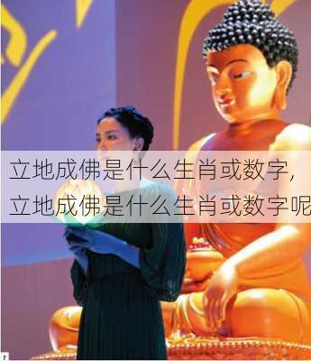 立地成佛是什么生肖或数字,立地成佛是什么生肖或数字呢