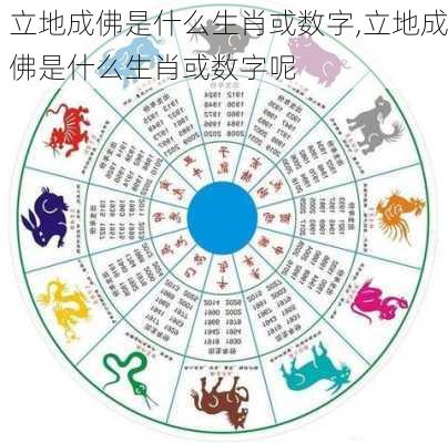 立地成佛是什么生肖或数字,立地成佛是什么生肖或数字呢