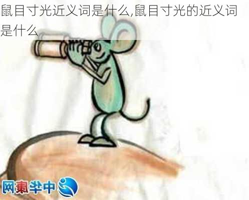 鼠目寸光近义词是什么,鼠目寸光的近义词是什么