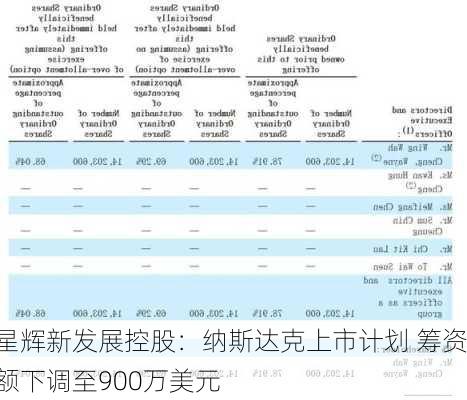 星辉新发展控股：纳斯达克上市计划 筹资额下调至900万美元