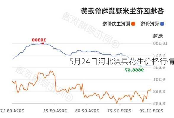 5月24日河北滦县花生价格行情