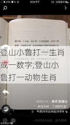 登山小鲁打一生肖或一数字,登山小鲁打一动物生肖