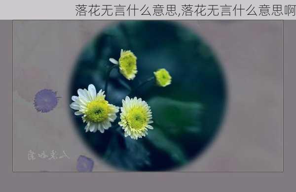 落花无言什么意思,落花无言什么意思啊